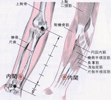 官員穴|醫砭 » 經穴庫 » 關元